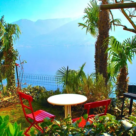 The Palm With Balcony And View *